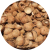 Coconut Shell
